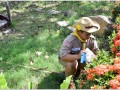 วันสมเด็จพระมหาธีรราชเจ้า Image 82