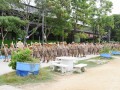 พิธีทบทวนคำปฏิญาณและสวนสนาม เนื่องในโอกาสเฉลิมพระชนพรรษา 66  ... Image 48