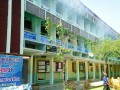 พ้นหมอกควันกำจัดยุงลาย ป้องกันโรคไข้เลือดออก Image 4