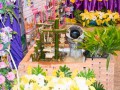 โครงการโรงเรียนร่วมพัฒนา Partnership School Project Image 12
