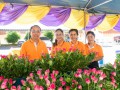 ร่วมงานประจำปีปิดทองหลวงพ่อปาน แห่หลวงพ่อปานทางรถและทางเรือ Image 178