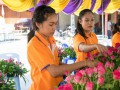 ร่วมงานประจำปีปิดทองหลวงพ่อปาน แห่หลวงพ่อปานทางรถและทางเรือ Image 212