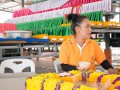 ร่วมงานประจำปีปิดทองหลวงพ่อปาน แห่หลวงพ่อปานทางรถและทางเรือ Image 272