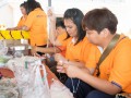 ร่วมงานประจำปีปิดทองหลวงพ่อปาน แห่หลวงพ่อปานทางรถและทางเรือ Image 281